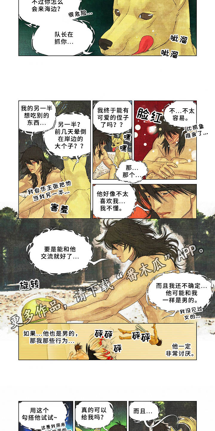 第11章：捕食2