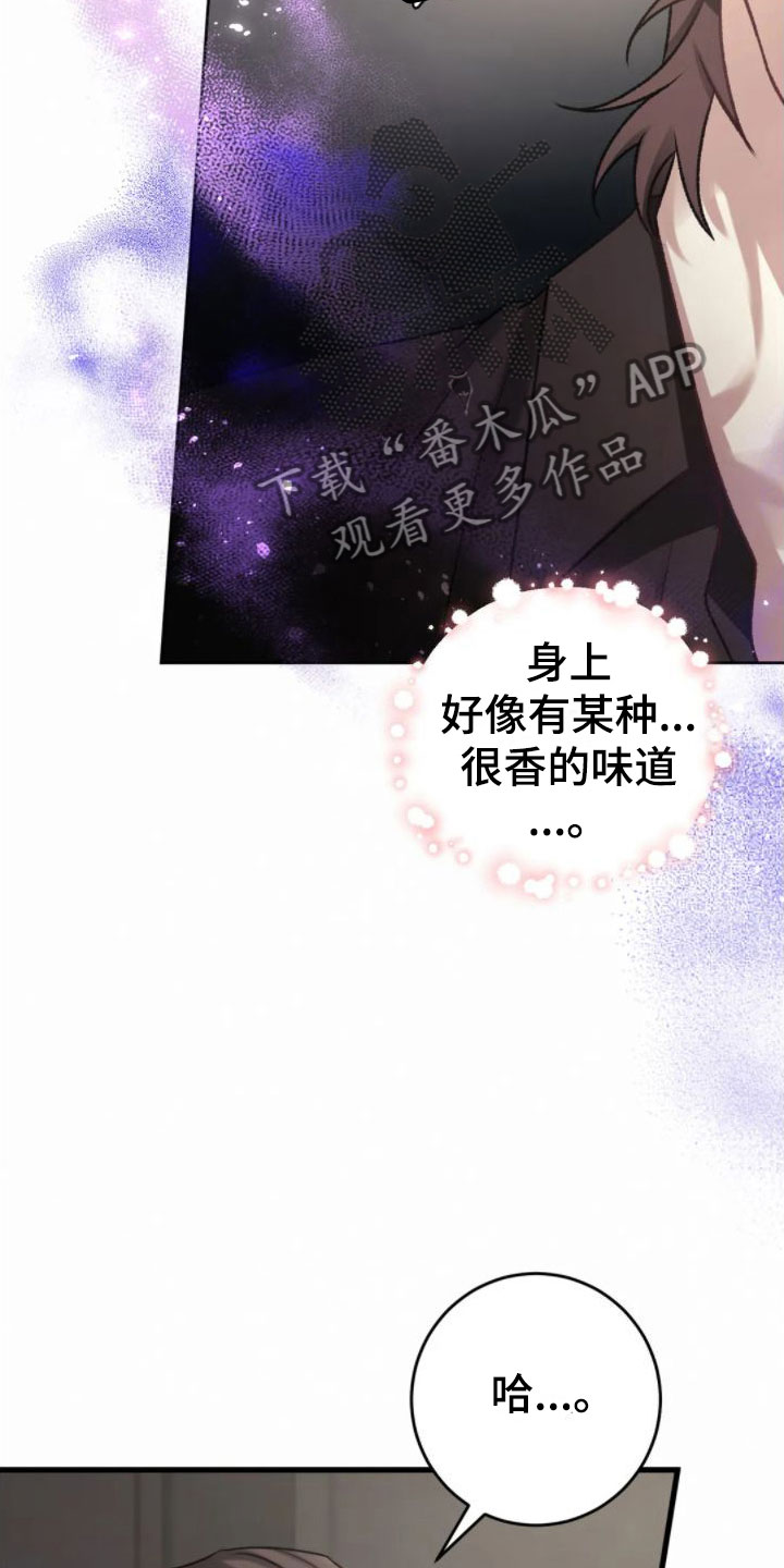 第7章：假象9
