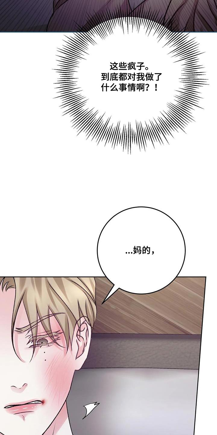 第24章：该死的理由10