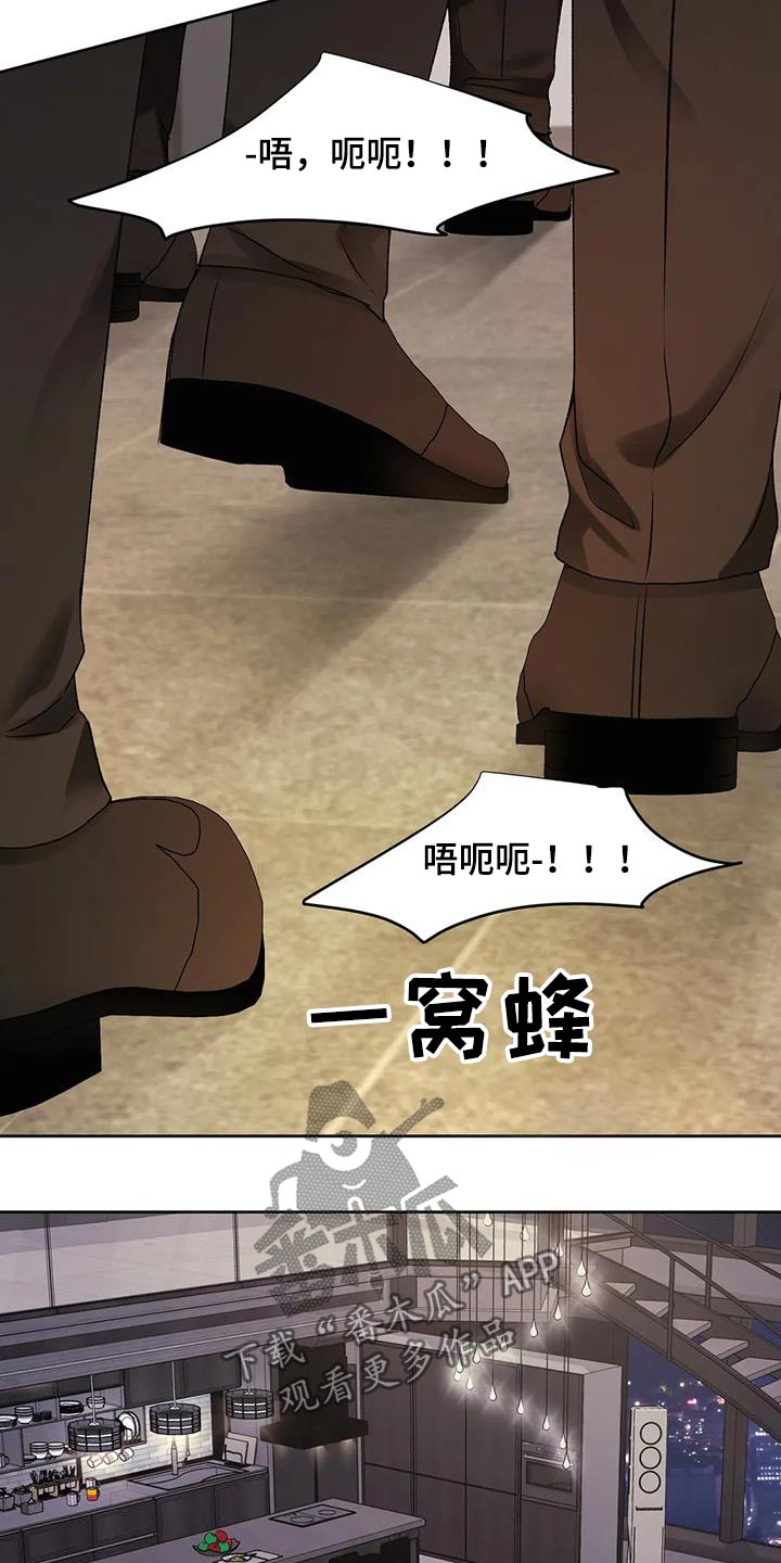 第33章：抓住17