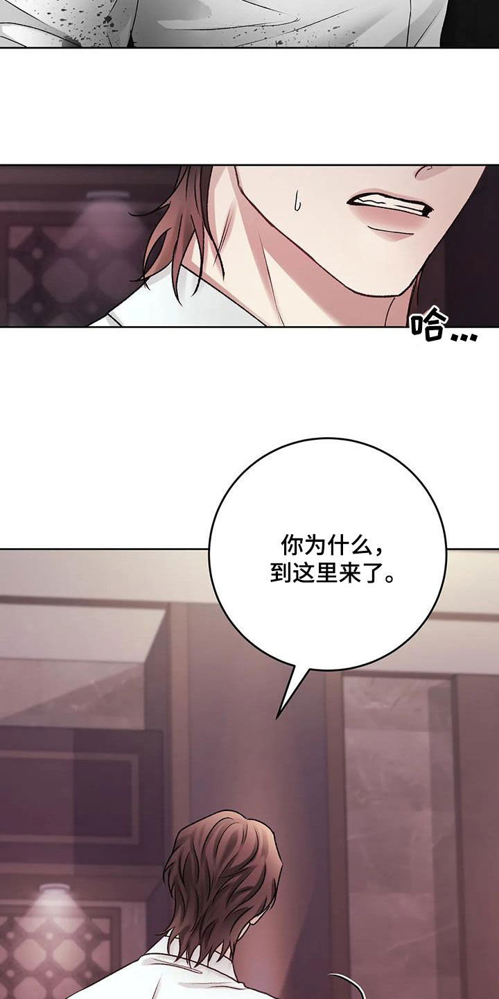 第42章：我们回家15