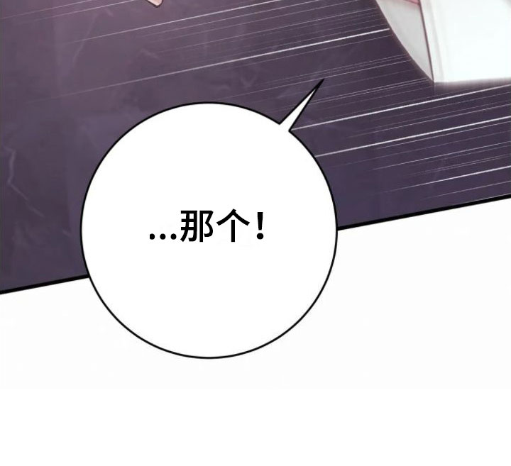 第7章：假象13
