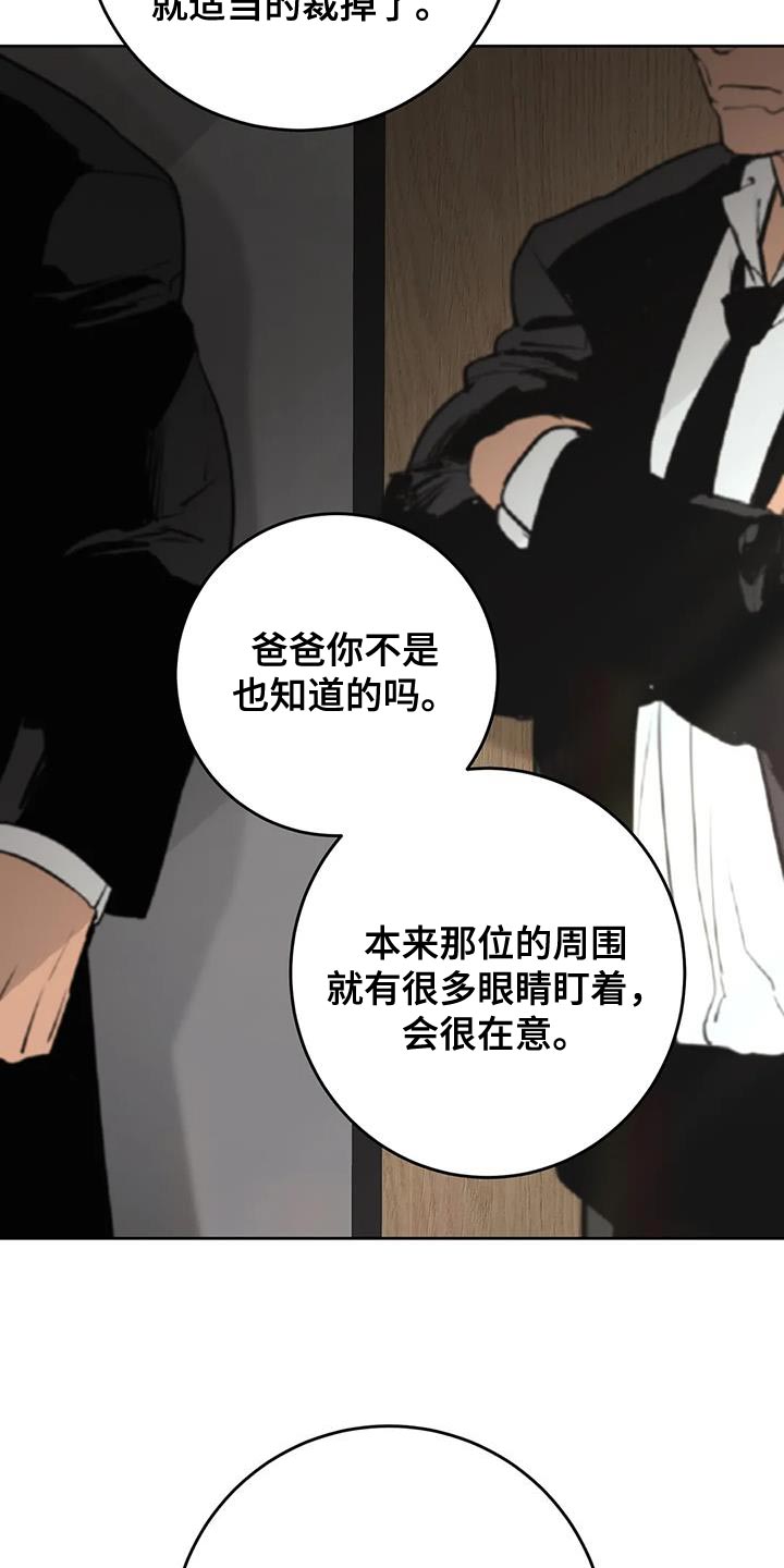 第15章：其他的想法18
