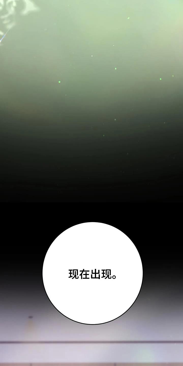 第13章：没什么用的东西25