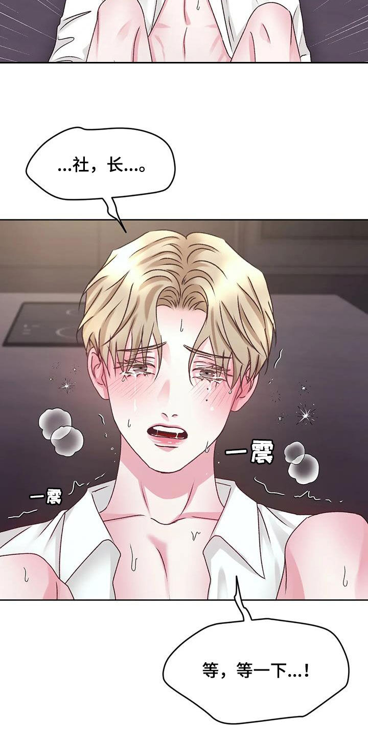 第44章：我说不行了17