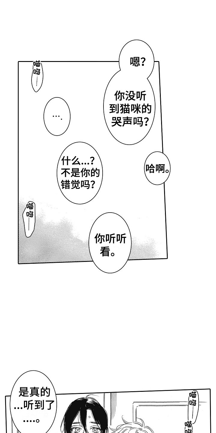 第31章：猫咪 11