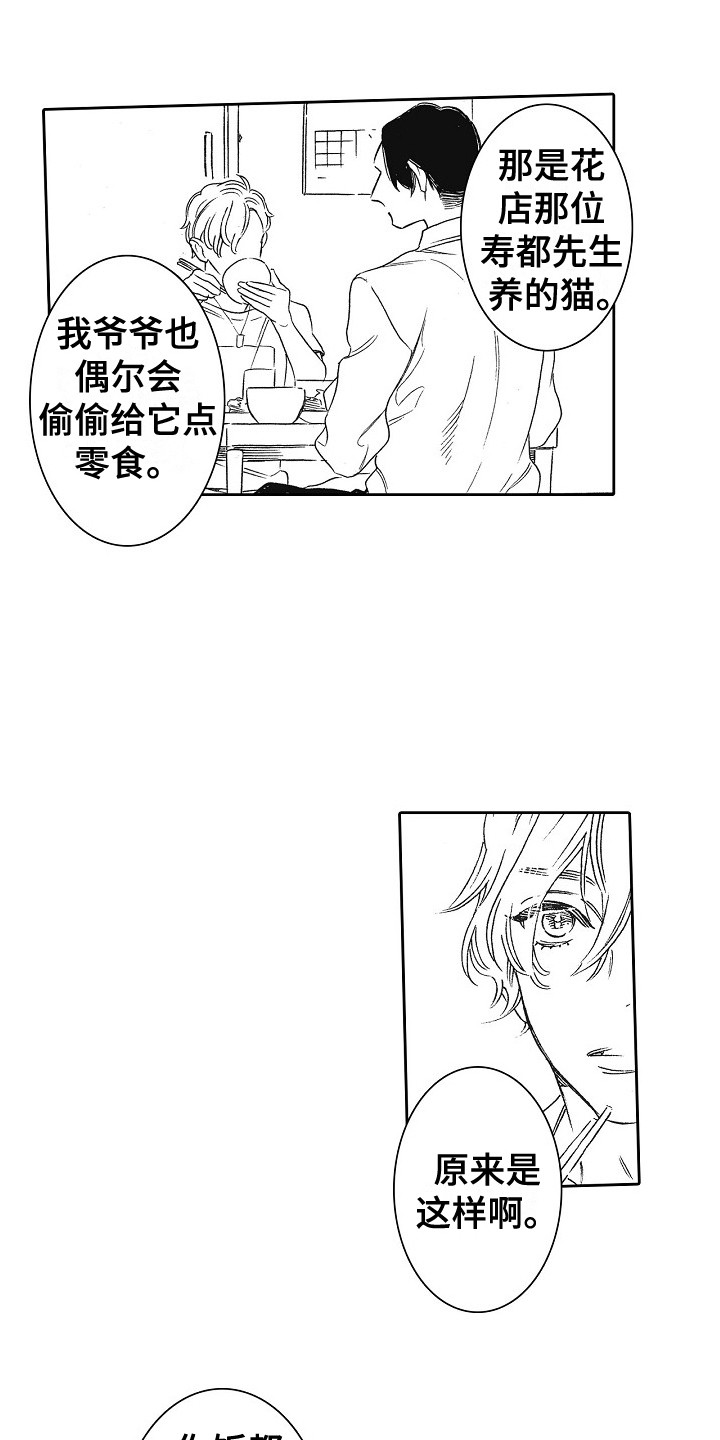 第3章：拱廊5