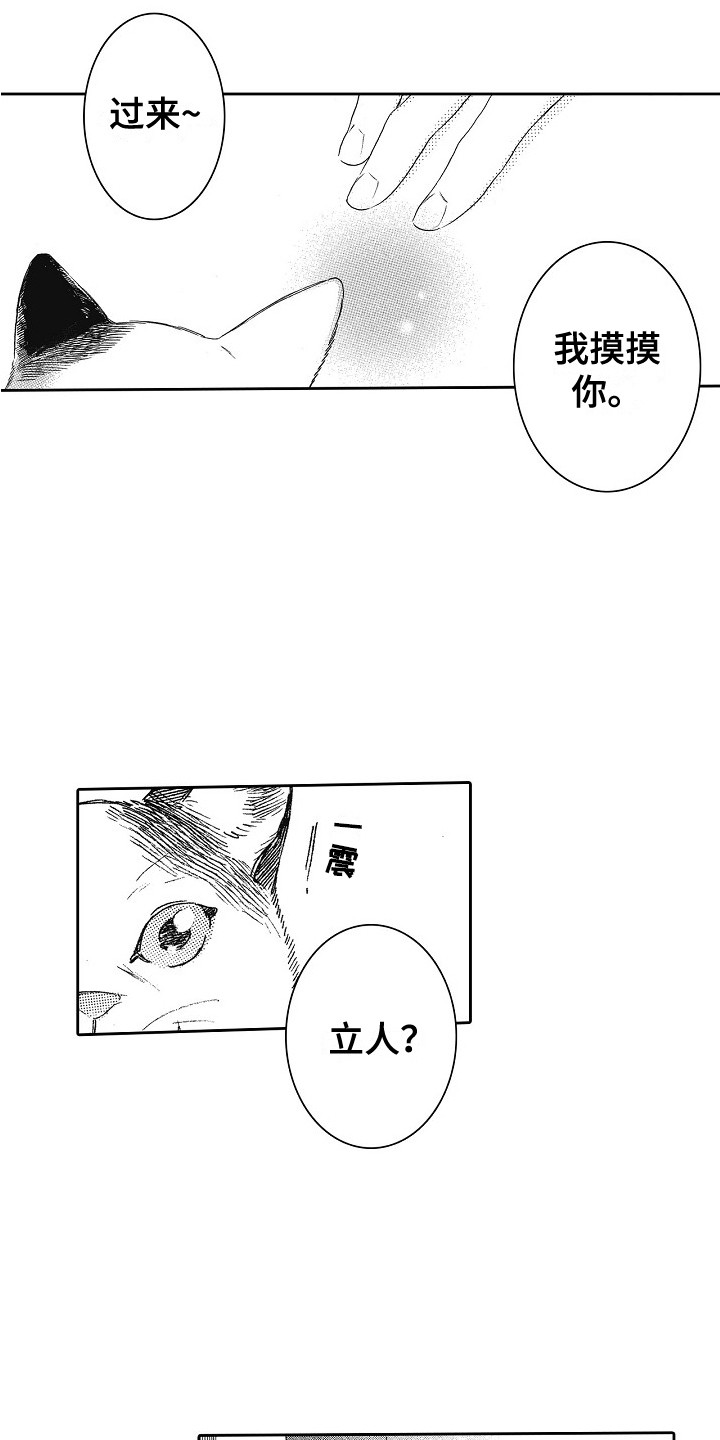 第17章：特权5