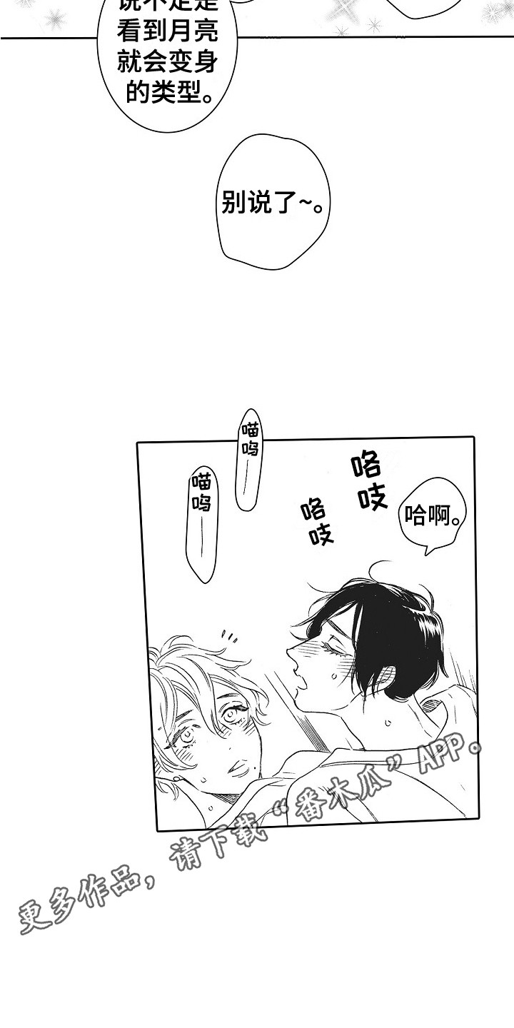 第31章：猫咪 10