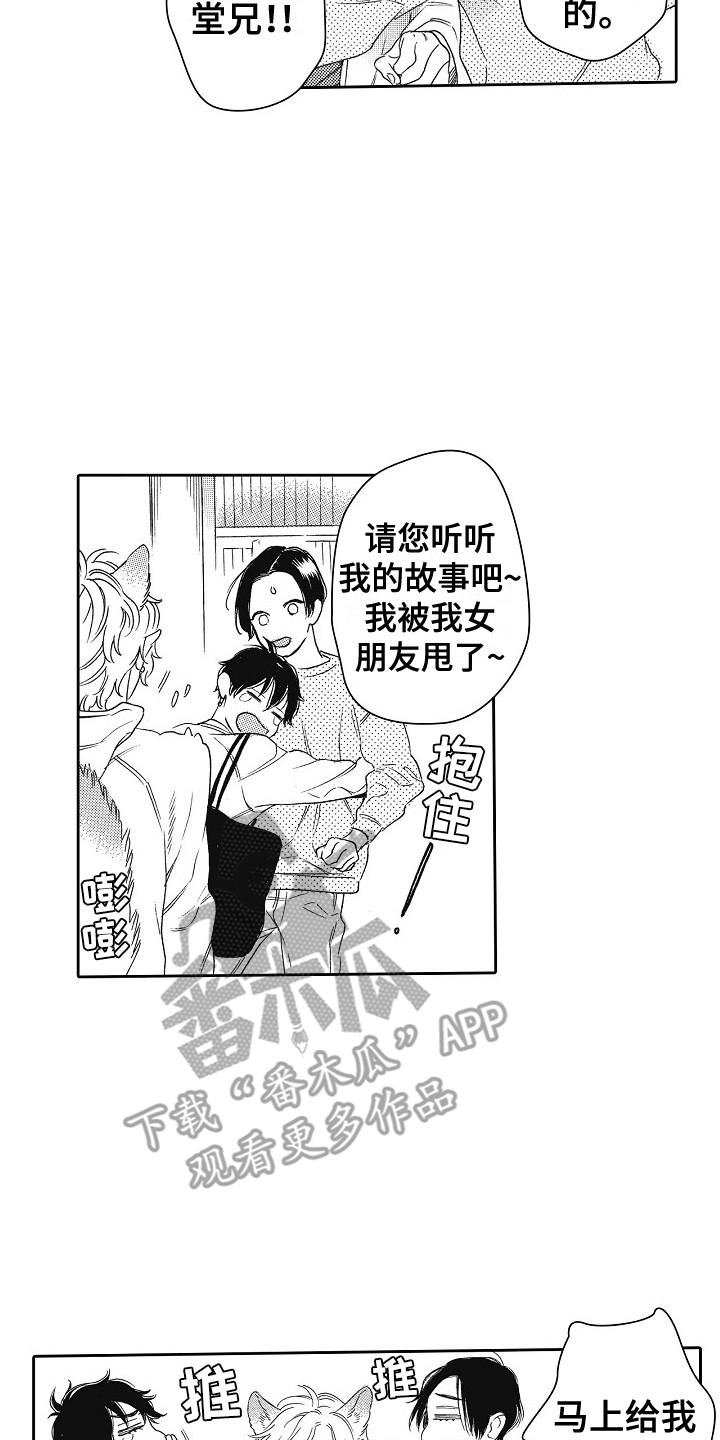 第12章：做饭15