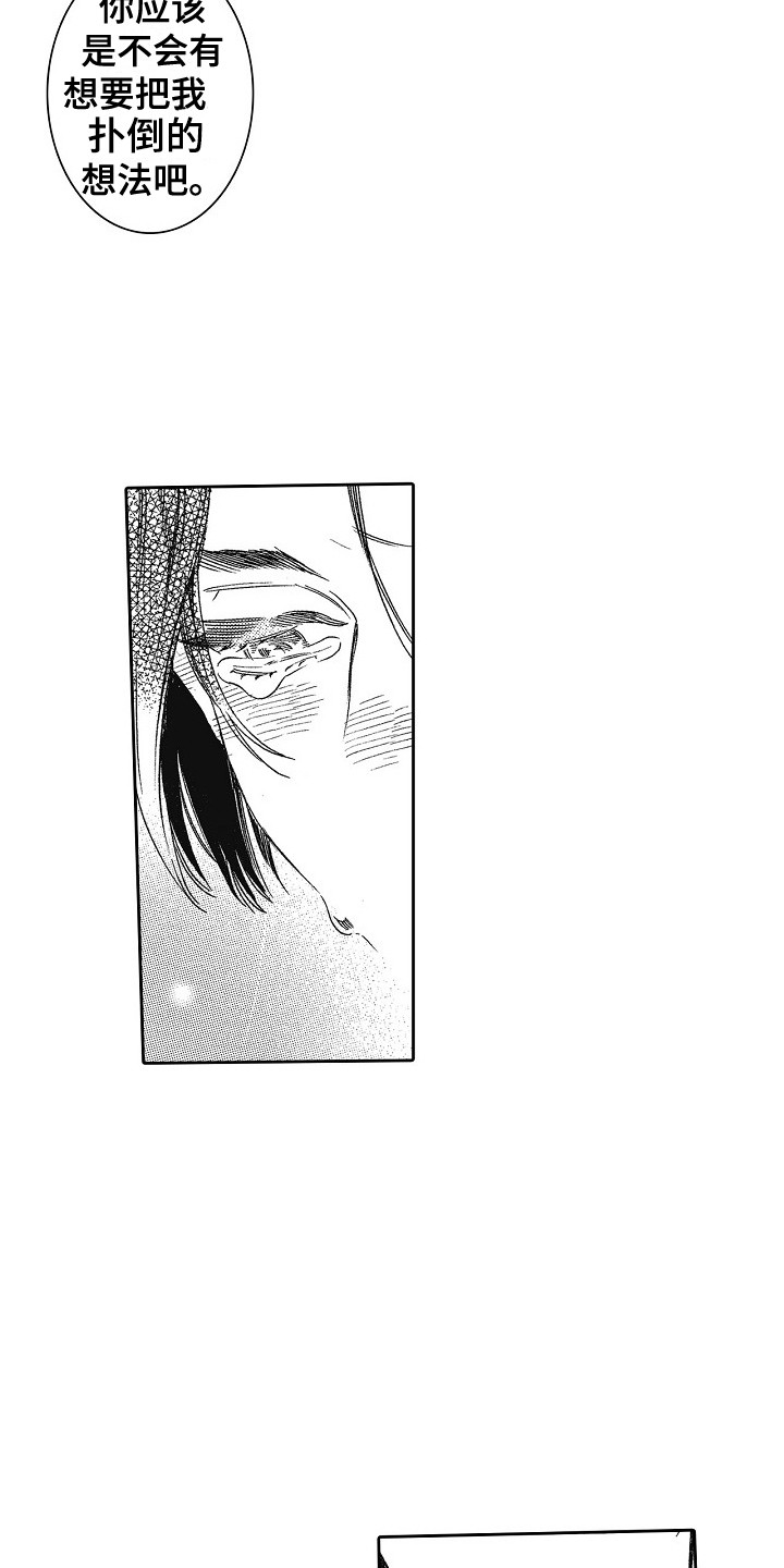 第19章：说服 11