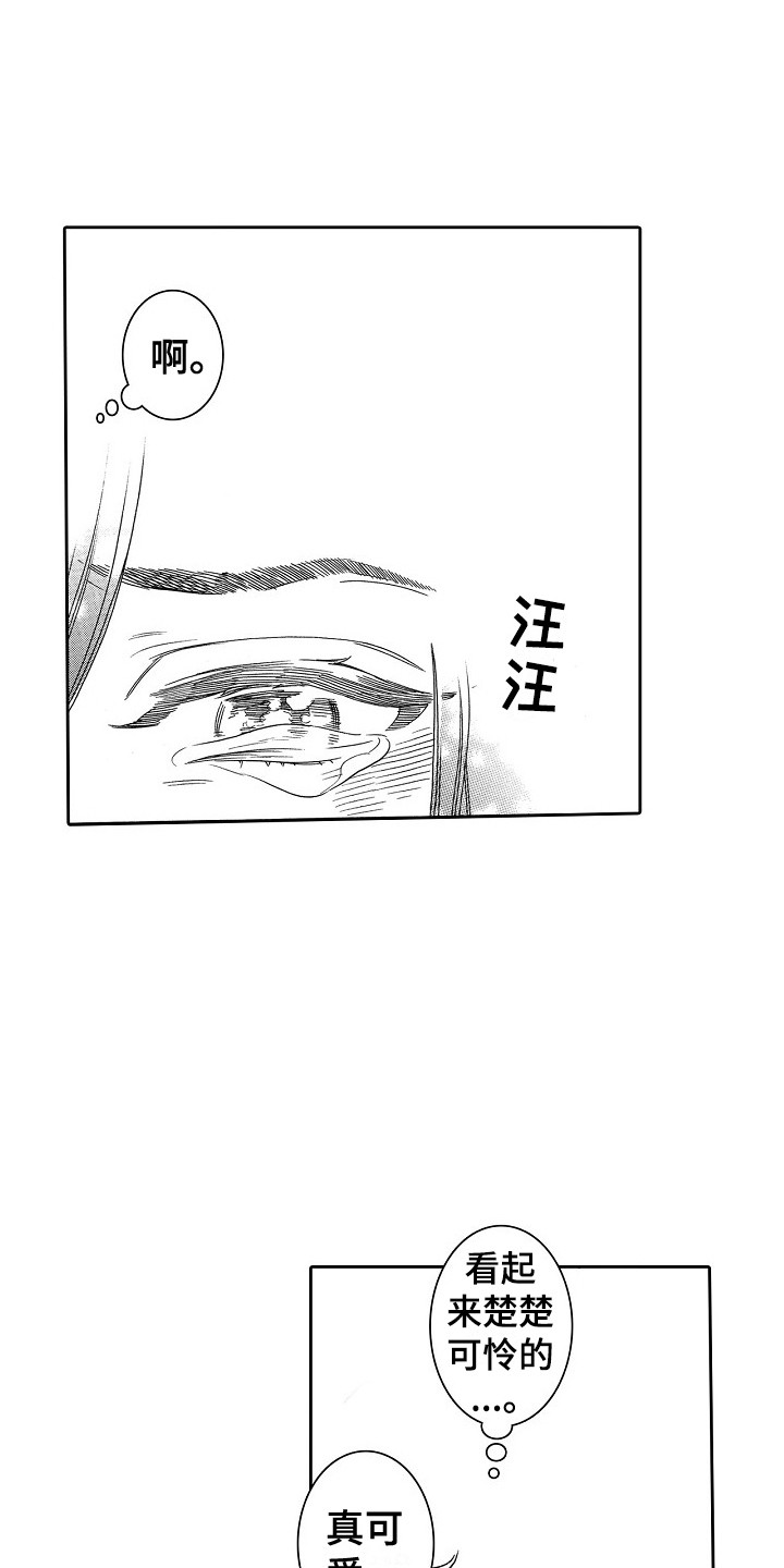 第31章：猫咪 2
