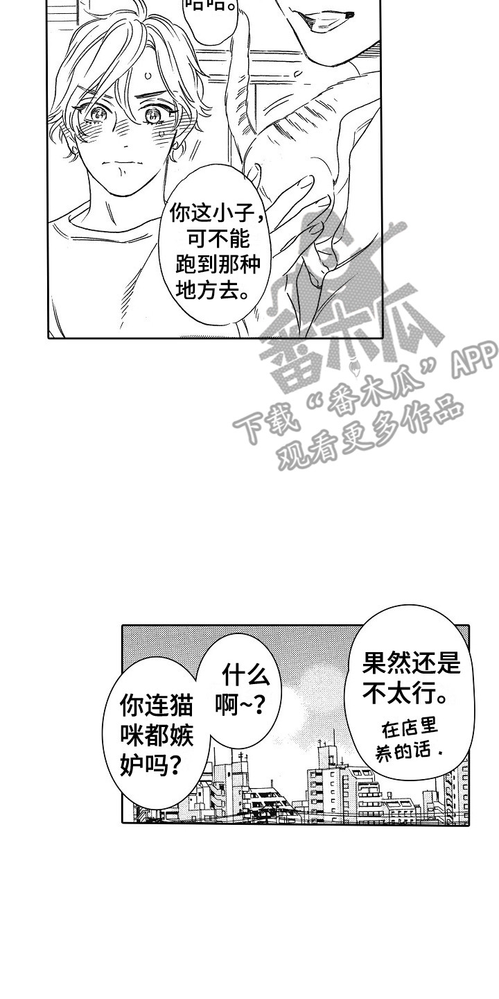 第31章：猫咪 16