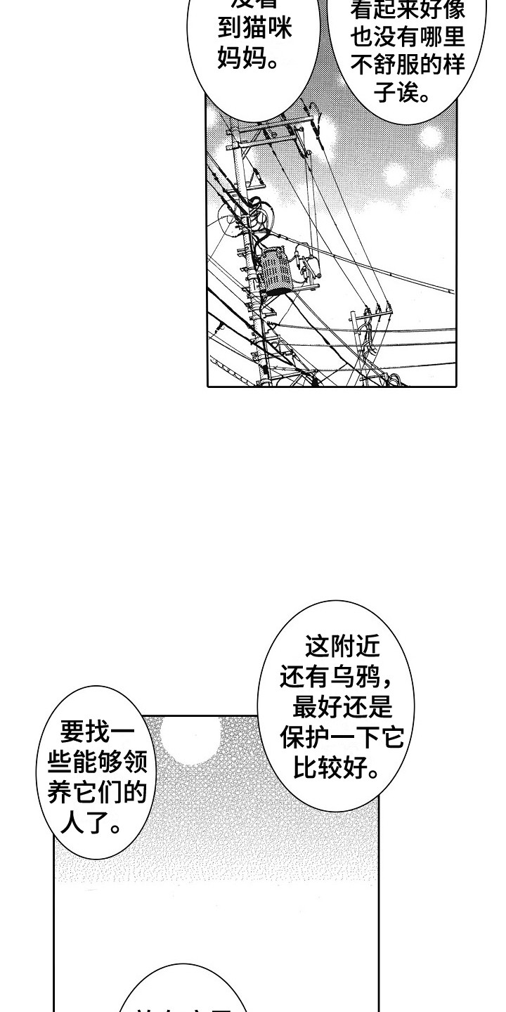 第31章：猫咪 14