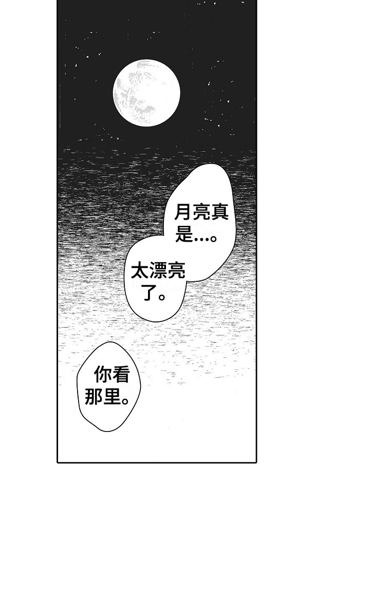 第3章：拱廊14