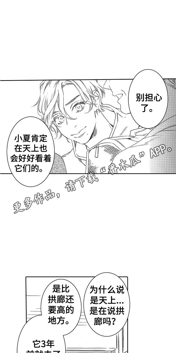 第32章：字面意思（完结） 4