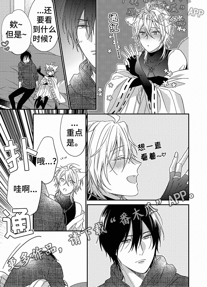 第19章：解释5