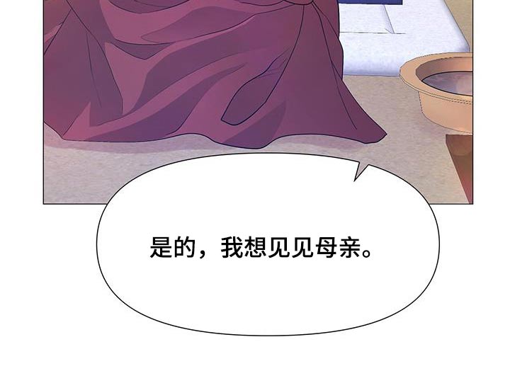 第117章：见见母亲30