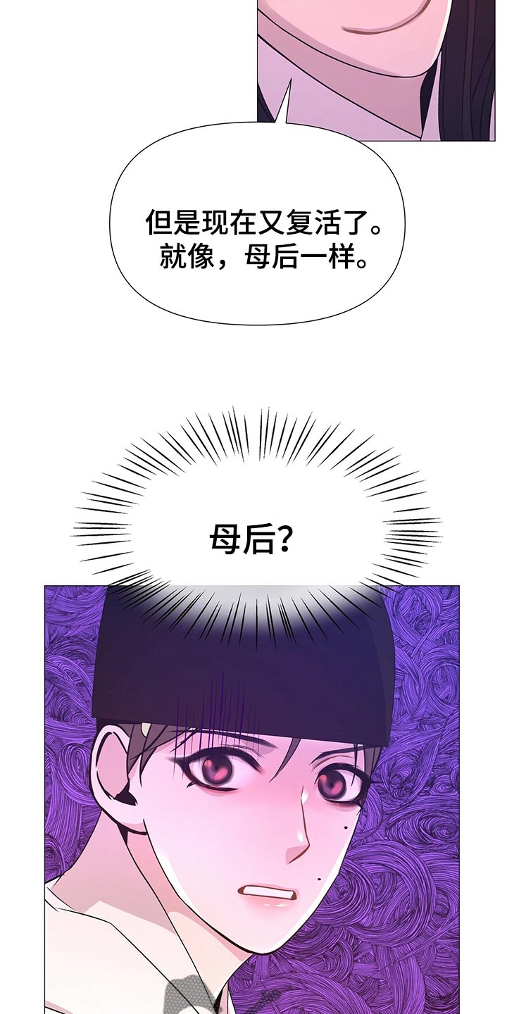 第44章：都是我的错觉6