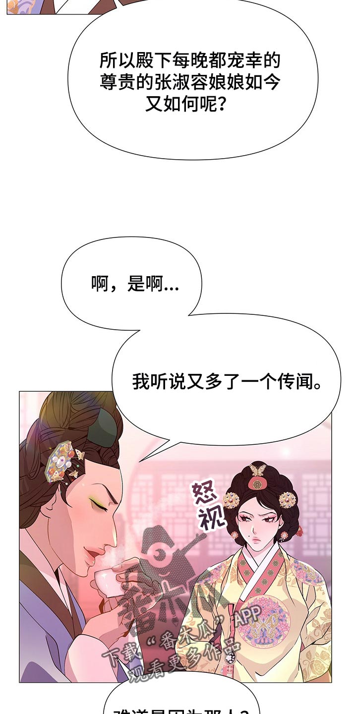第46章：所以你打算怎么做11