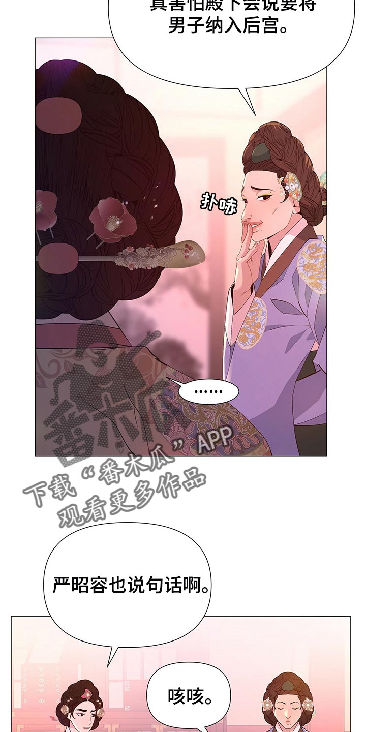 第46章：所以你打算怎么做16