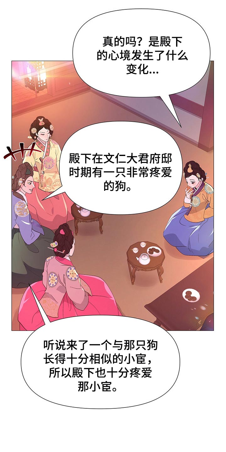 第46章：所以你打算怎么做14