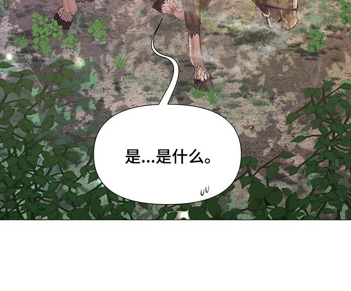 第38章：负责15