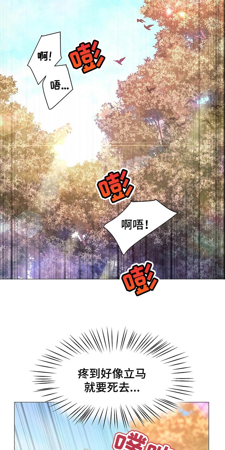 第39章：打扰6