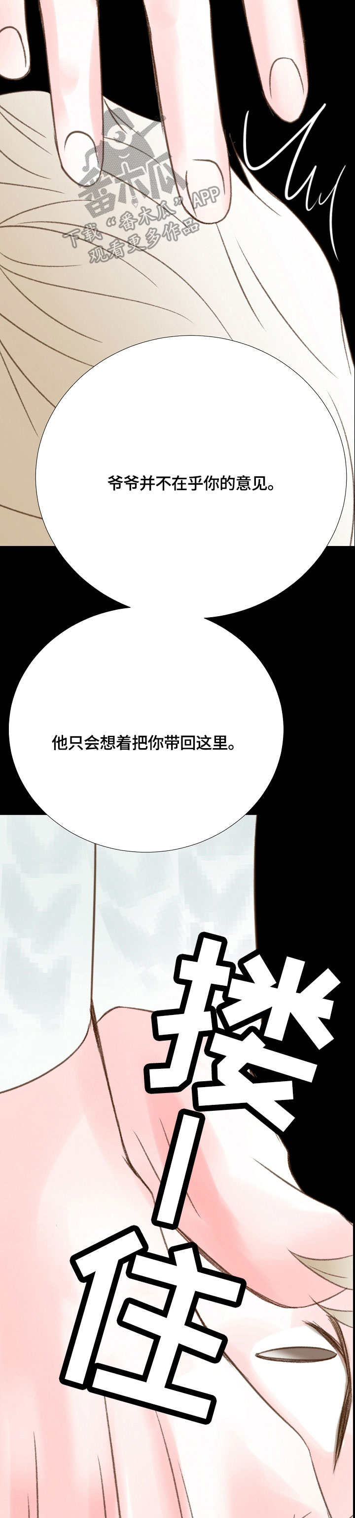 第40章：真的来了7