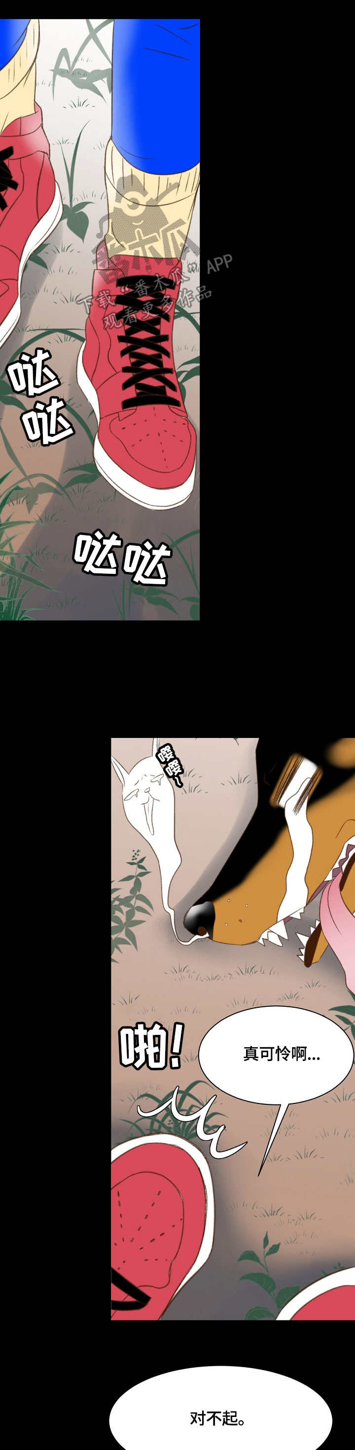 第32章：注意4