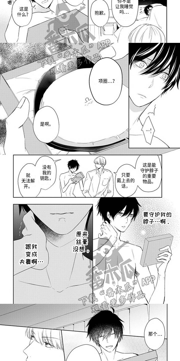 第14章：项圈3
