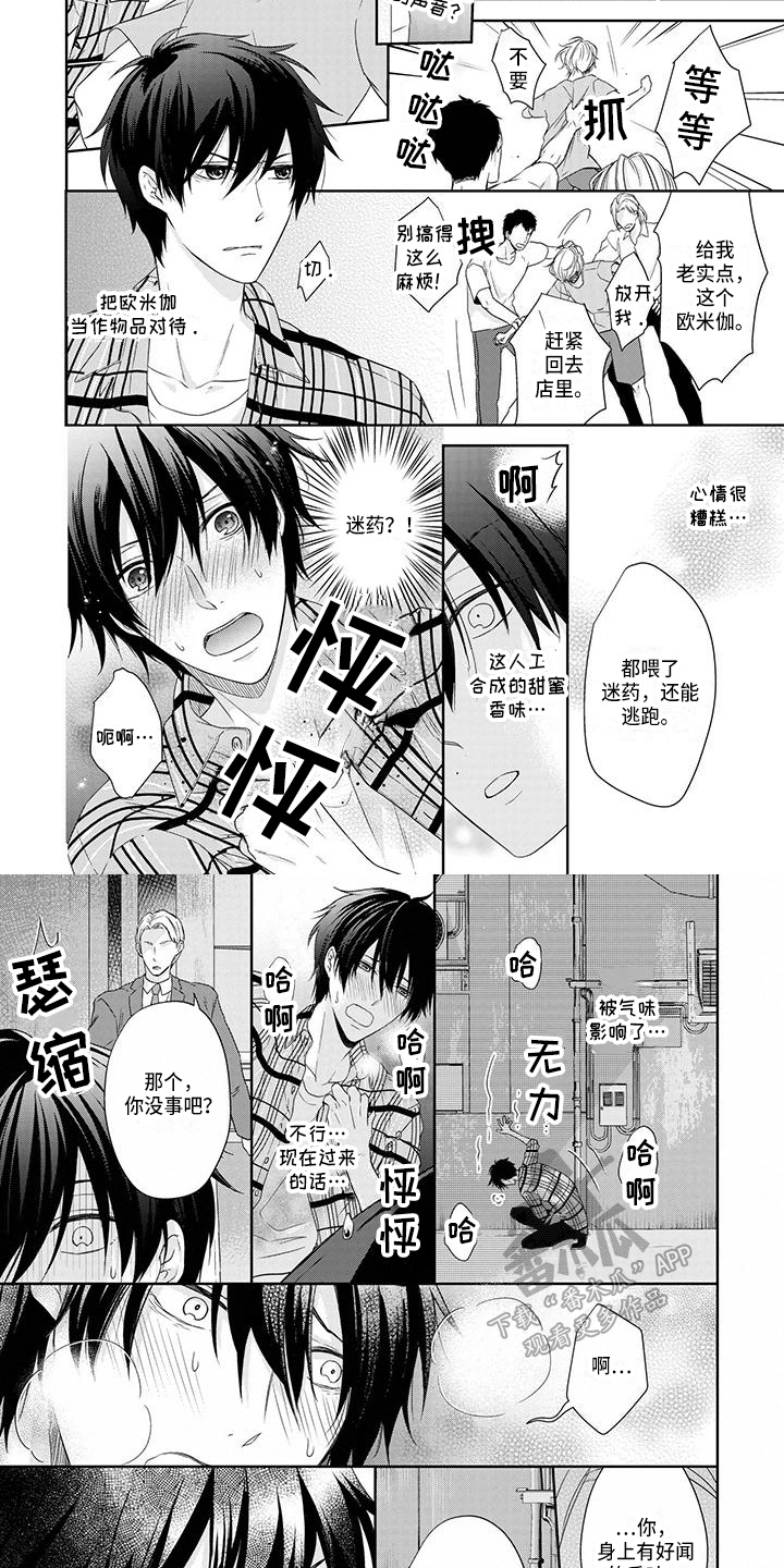 第6章：意外3