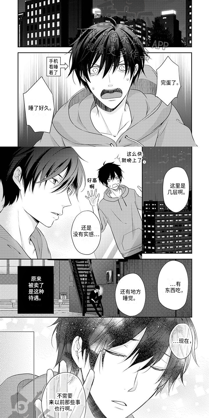 第4章：查找4