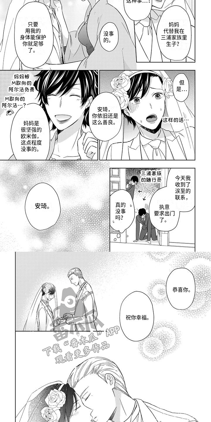 第24章：结婚4