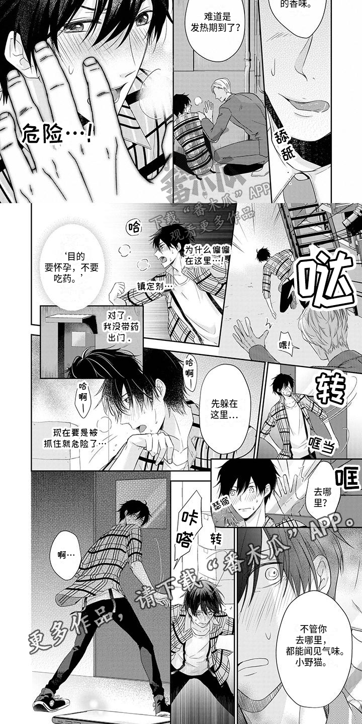 第6章：意外4