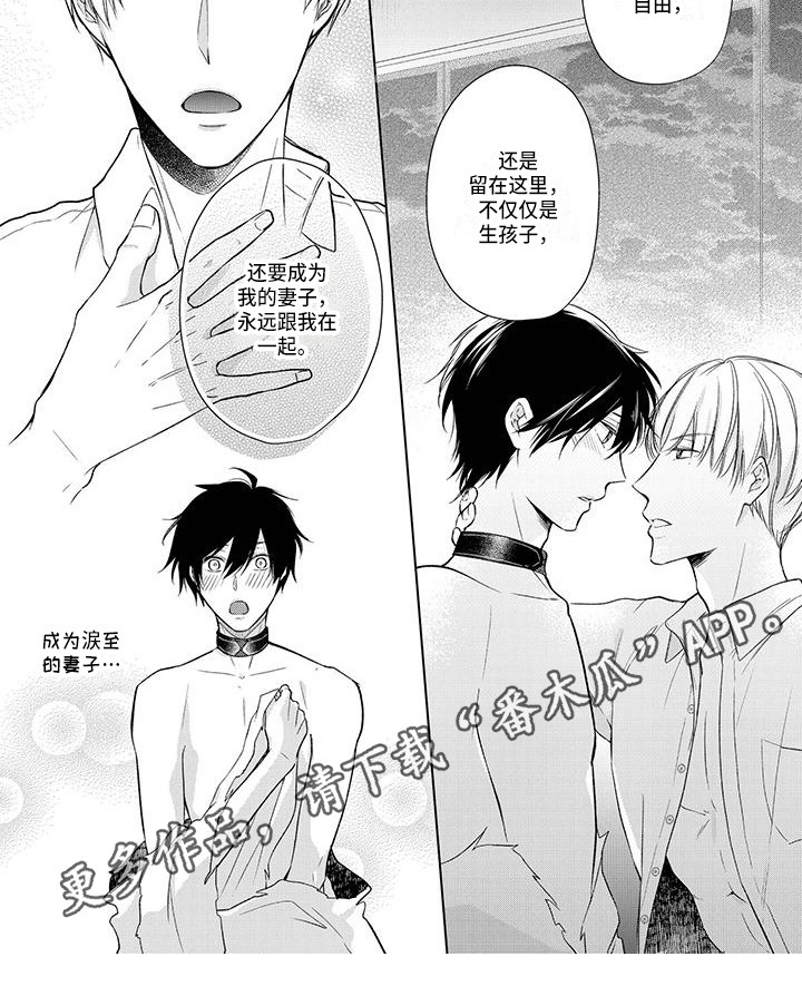 第19章：选择6
