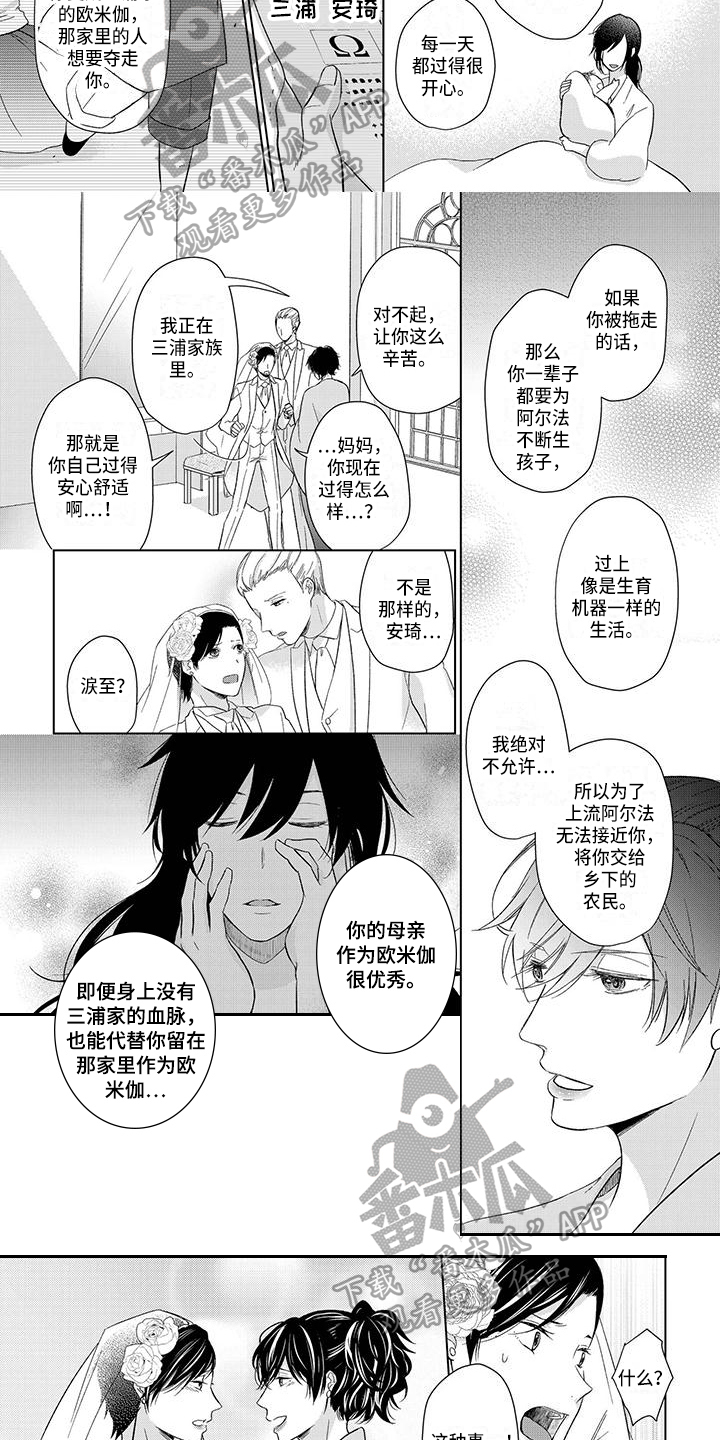 第24章：结婚3