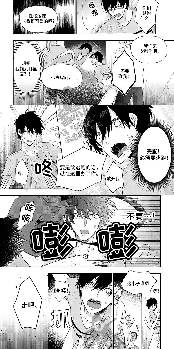 第28章：嫉妒4