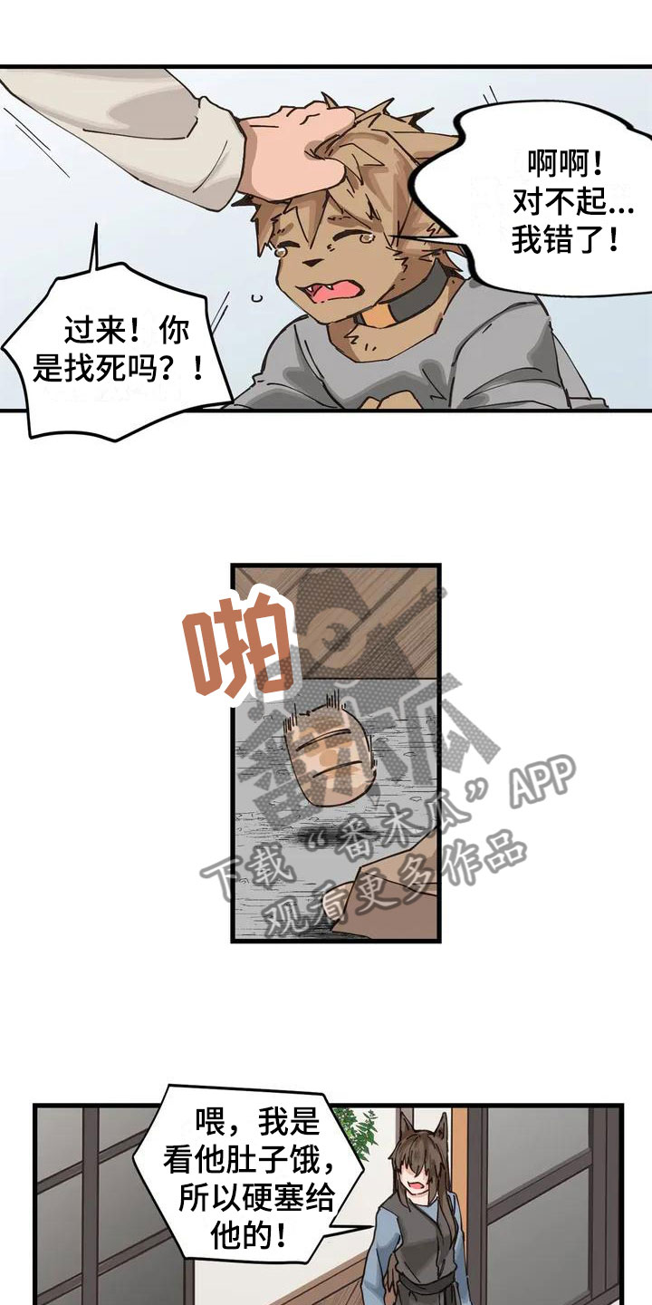 第11章：配合5