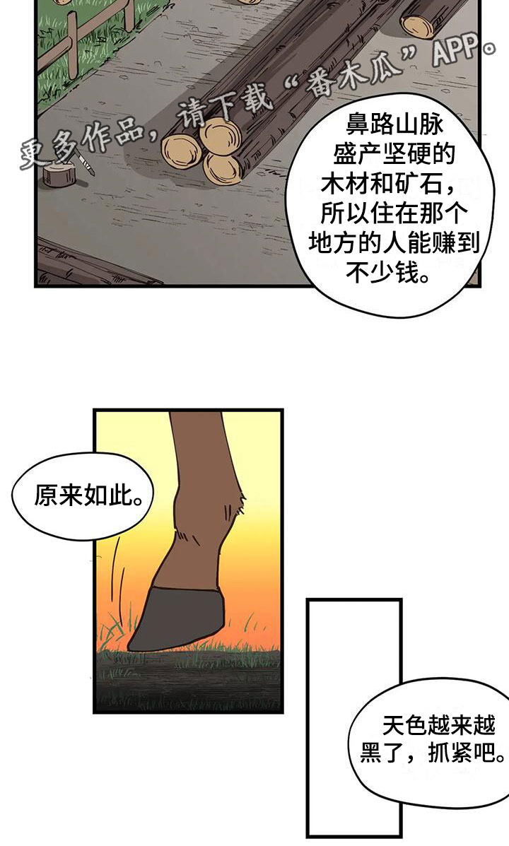 第13章：交流17