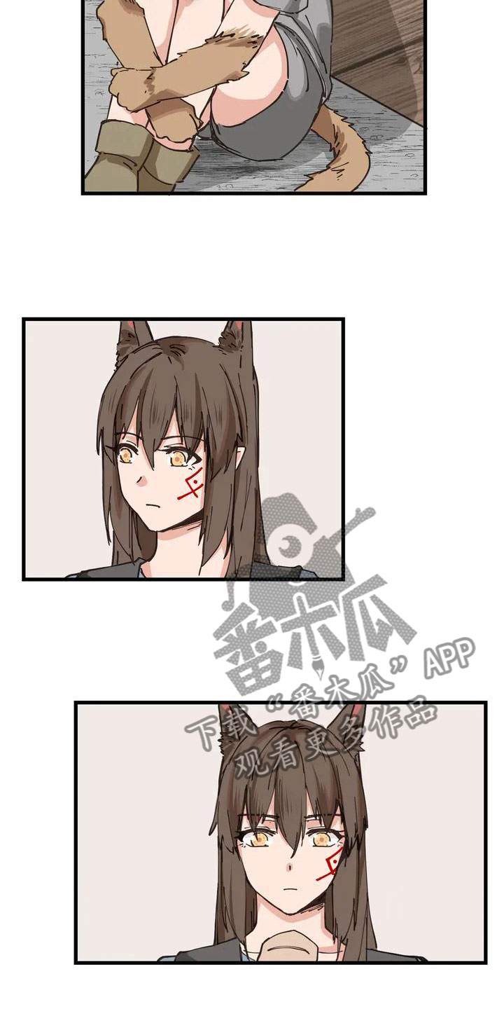 第11章：配合2