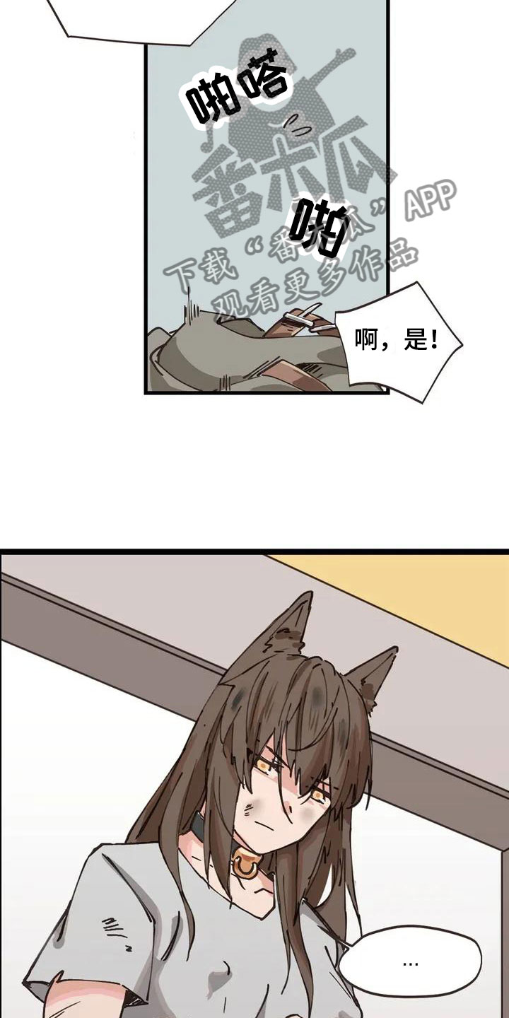 第4章：收下6