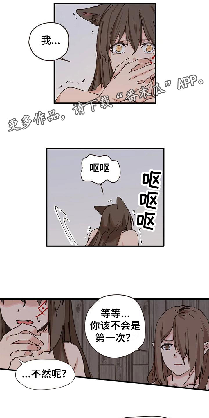 第16章：这是什么0