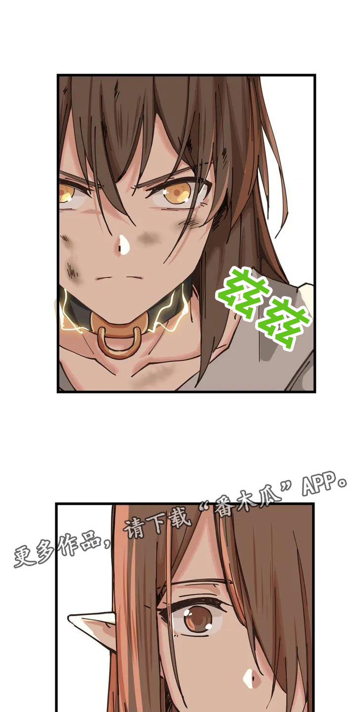 第4章：收下12