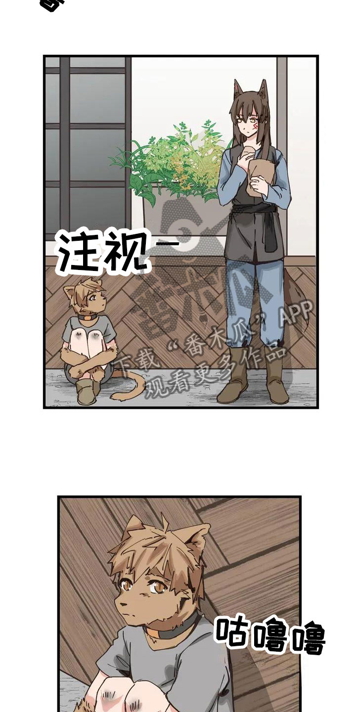 第11章：配合1