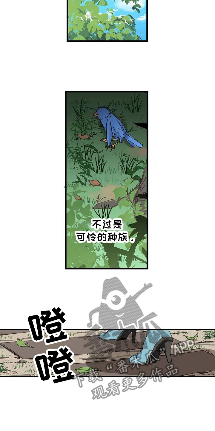 第19章：找医生11