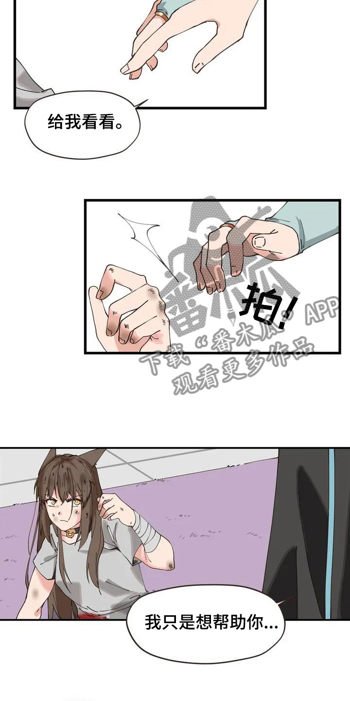 第5章：放开我11