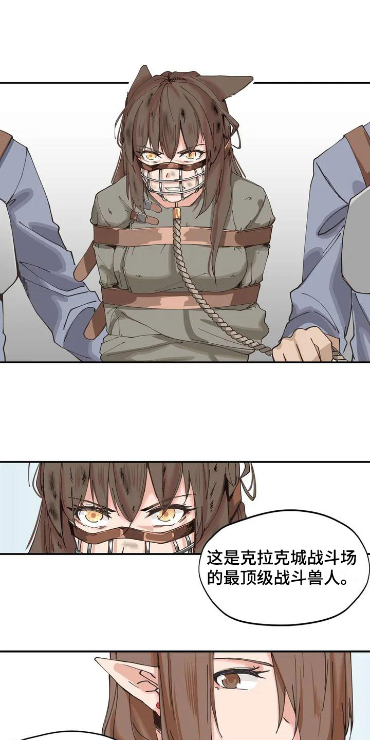 第3章：献给她12