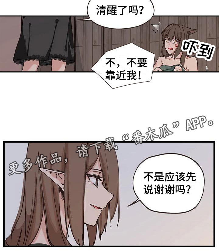 第15章：解决12