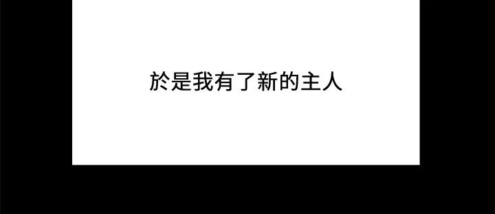 第133章：抵债6